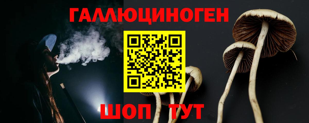 Псилоцибиновые грибы ЛСД  Галлюциногенные грибы прущие грибы  купить наркотик  Изобильный  Вход с VPN 